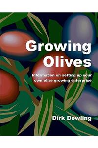 Growing Olives