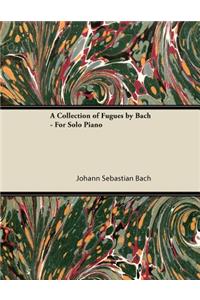 Collection of Fugues by Bach - For Solo Piano