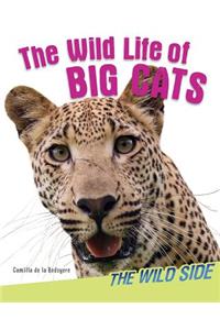The Wild Life of Big Cats