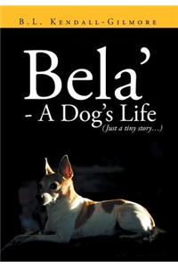 Bela' - A Dog's Life