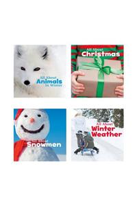 Celebrate Winter