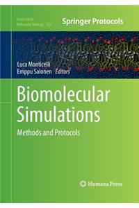 Biomolecular Simulations