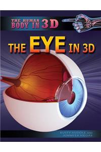 The Eye in 3D