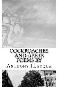 Cockroaches and Geese