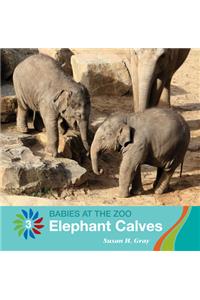 Elephant Calves