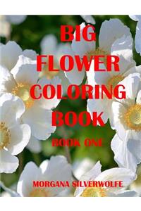 Big Flower Coloring Book