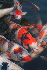 Colorful Carp Fish Journal