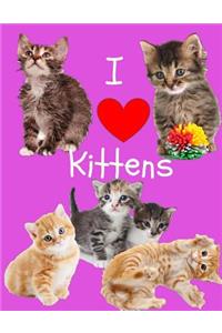 I Love Kittens