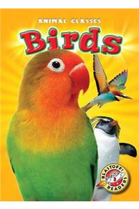 Birds