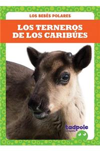 Los Terneros de Los Caribúes (Caribou Calves)