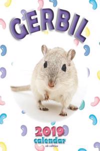 Gerbil 2019 Calendar (UK Edition)