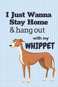 I just wanna stay home & hang out with my Whippet