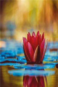White lotus notebook