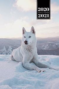 Wolf Wolves Week Planner Weekly Organizer Calendar 2020 / 2021 - Lie in Snow