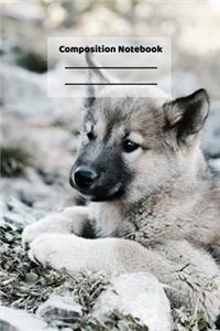 Composition Notebook