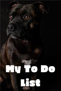 My To Do List