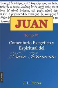 Comentario Exegético Y Espiritual del Evangelio de Juan Tomo #1