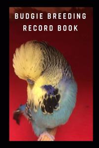 Budgie breeding record book: log book for birds, notebook, diary, hatching chicks, eggs, cage,100 templates 8" x 10"