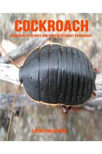 Cockroach: Incredible Pictures and Fun Facts about Cockroach
