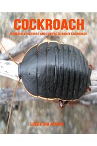 Cockroach
