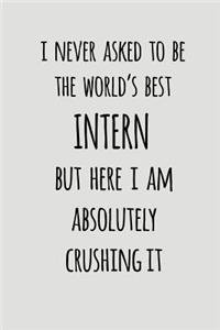 I Never Asked to Be the World's Best Intern But Here I Am Absolutely Crushing It