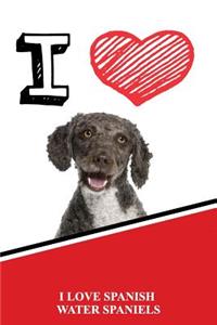 I Love Spanish Water Spaniels