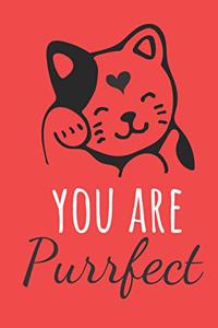 You Are Purrfect