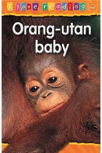 Orang-utan Baby: Orange Reading Level