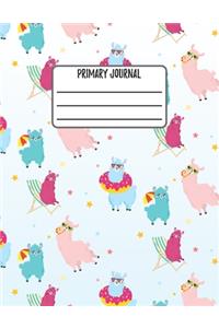 Primary Journal