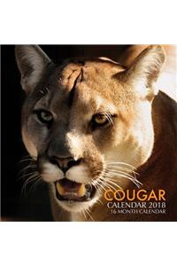 Cougar Calendar 2018