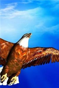 Fly Be Free Notebook