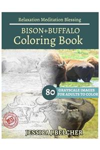 BISON+BUFFALO Coloring Books