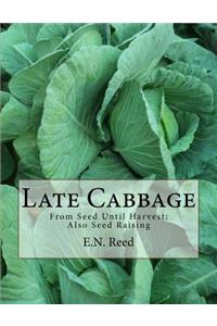 Late Cabbage