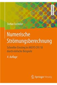 Numerische Strömungsberechnung