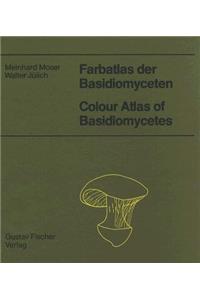 Farbatlas Der Basidiomyceten, Lfg. 16