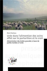 Urée Dans Lalimention Des Ovins Effet Sur Le Parturition Et Le Croit