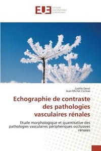 Echographie de Contraste Des Pathologies Vasculaires Rénales
