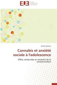 Cannabis Et Anxiété Sociale À l'Adolescence