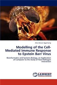 Modelling of the Cell-Mediated Immune Response to Epstein Barr Virus