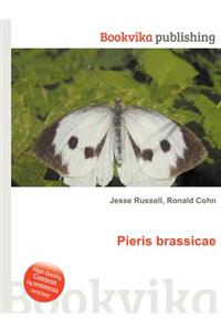 Pieris Brassicae