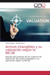 Activos intangibles y su valoración según la NIC38