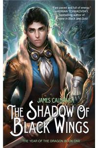 The Shadow of Black Wings