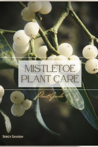 Mistletoe Plant Care
