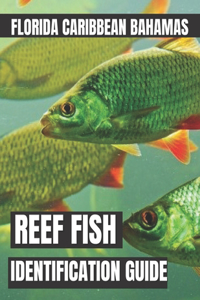 Reef Fish Identification Guide