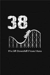 38th Birthday It's All Downhill From Here