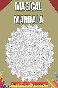 Magical Mandala Adult Color By Number