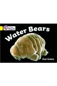 Water Bears Workbook