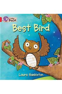 Best Bird Workbook