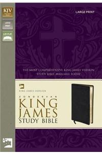 Study Bible-KJV-Large Print