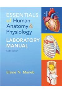 Essentials of Human Anatomy & Physiology Laboratory Manual